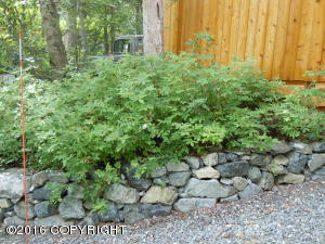 21525 River Park Dr, Eagle River, AK 99577 photo 41