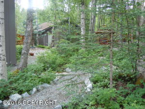 21525 River Park Dr, Eagle River, AK 99577 photo 89