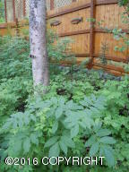 21525 River Park Dr, Eagle River, AK 99577 photo 71