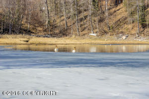 18035 E Twin Hills Ln, Sutton, AK 99674 photo 25