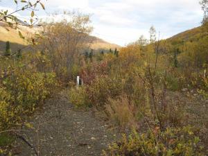 525 Wolf Dr, Eagle River, AK 99577 photo 1