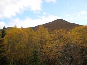 525 Wolf Dr, Eagle River, AK 99577 photo 4