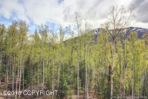 19930 Highland Ridge Dr, Eagle River, AK 99577 photo 25