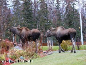 4059 E Serendipity Loop, Wasilla, AK 99654 photo 10