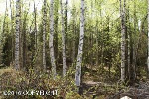 19599 E Keystone Dr, Willow, AK 99688 photo 26