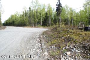 19599 E Keystone Dr, Willow, AK 99688 photo 21