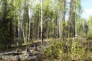 19599 E Keystone Dr, Willow, AK 99688 photo 27