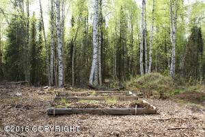 19599 E Keystone Dr, Willow, AK 99688 photo 24