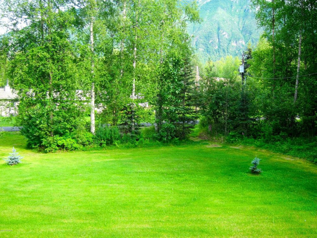 22612 Robinson Rd, Chugiak, AK 99567 photo 8