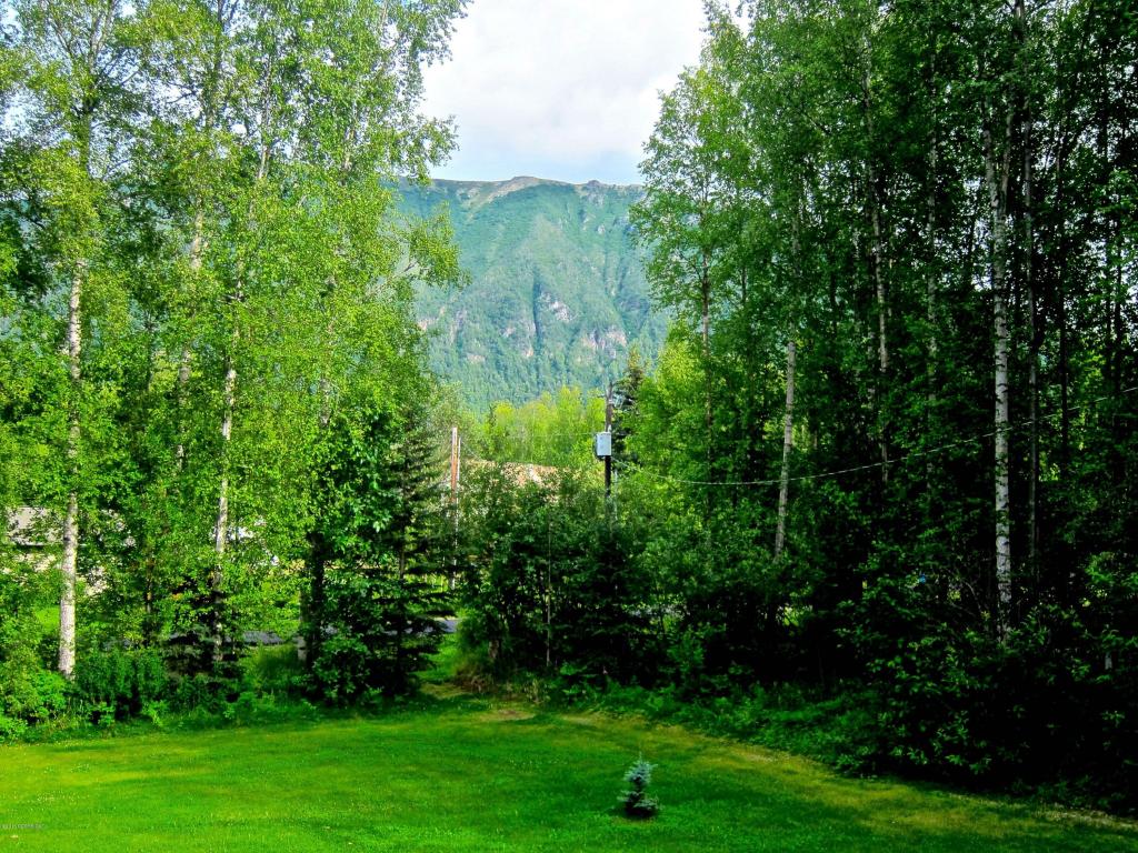 22612 Robinson Rd, Chugiak, AK 99567 photo 7