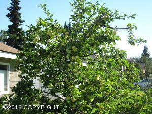 8013 E 5th Ave, Anchorage, AK 99504 photo 15