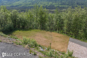 6475 Magnaview Dr, Eagle River, AK 99577 photo 40