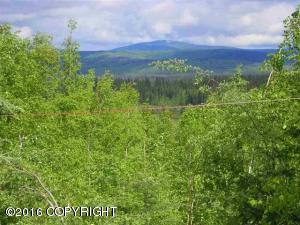 733 Ridge Loop, North Pole, AK 99705 photo 2