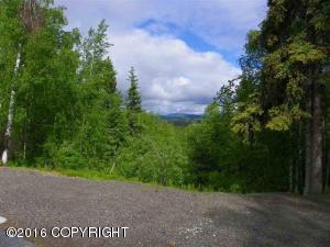 733 Ridge Loop, North Pole, AK 99705 photo 18