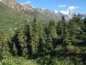 1982 W River Dr, Eagle River, AK 99577 photo 14