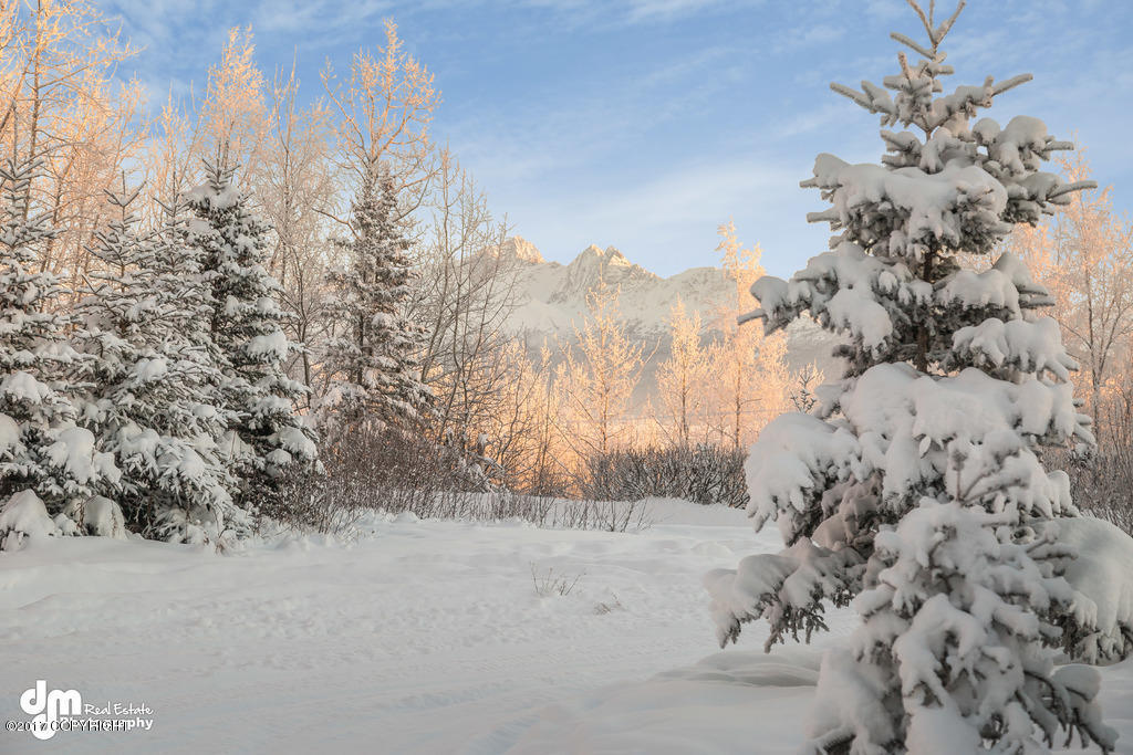 285 E Fairview Loop, Wasilla, AK 99654 photo 7