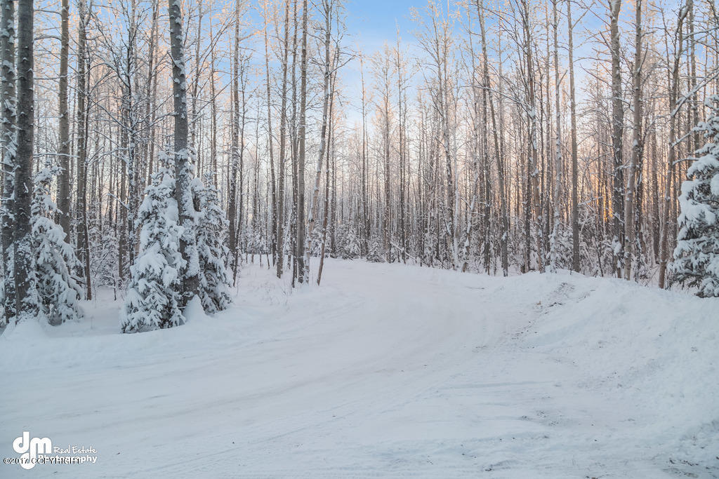 285 E Fairview Loop, Wasilla, AK 99654 photo 2