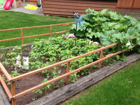 20527 Stephen Cir, Chugiak, AK 99567 photo 60