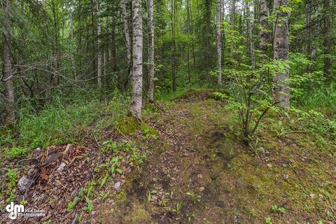 20527 Stephen Cir, Chugiak, AK 99567 photo 68