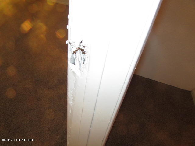 420 Pine St, Anchorage, AK 99508 photo 20