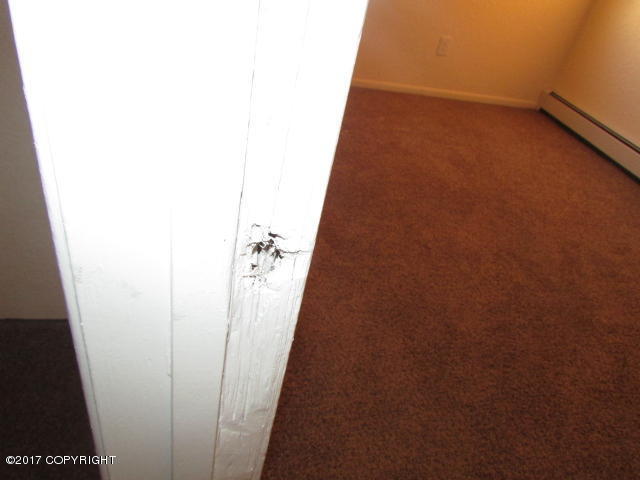 420 Pine St, Anchorage, AK 99508 photo 19