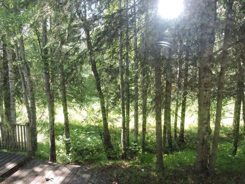 10134 Ronald Pl, Eagle River, AK 99577 photo 17
