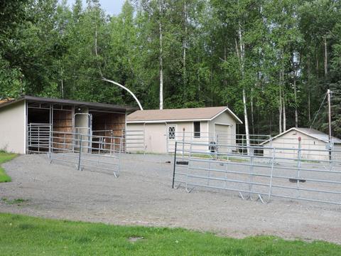 19715 Adrian Ave, Eagle River, AK 99567 photo 2