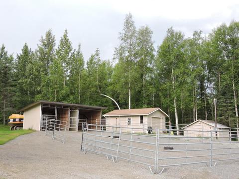 19715 Adrian Ave, Eagle River, AK 99567 photo 3