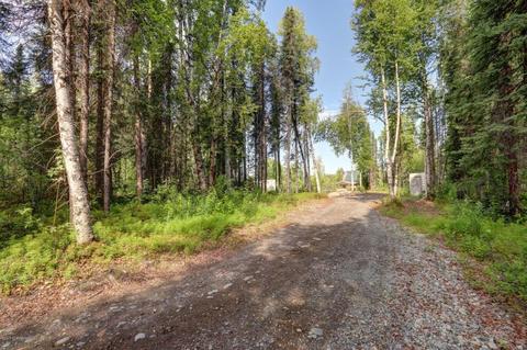 52249 S Caswell Loop, Willow, AK 99688 photo 23