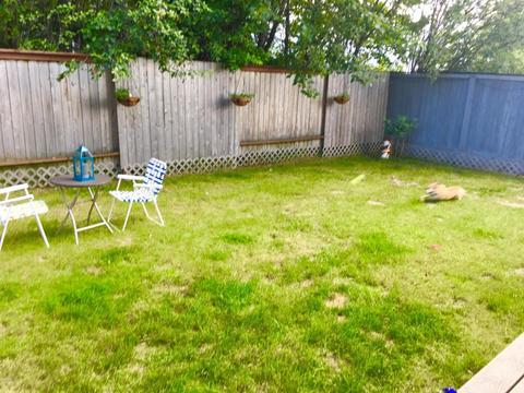 1881 S Heather Meadows Loop # 1, Anchorage, AK 99507 photo 7