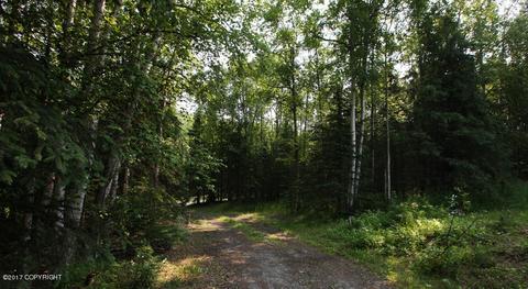 13914 Savage Dr, Eagle River, AK 99577 photo 33