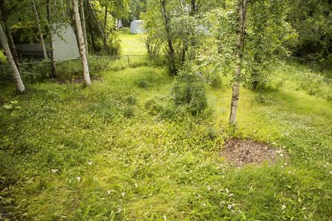 19252 First St, Eagle River, AK 99577 photo 35