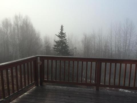 26226 Vallihi Cir, Eagle River, AK 99577 photo 16