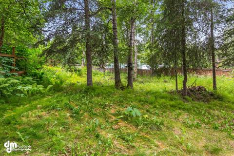 9110 Jupiter Dr, Anchorage, AK 99507 photo 48