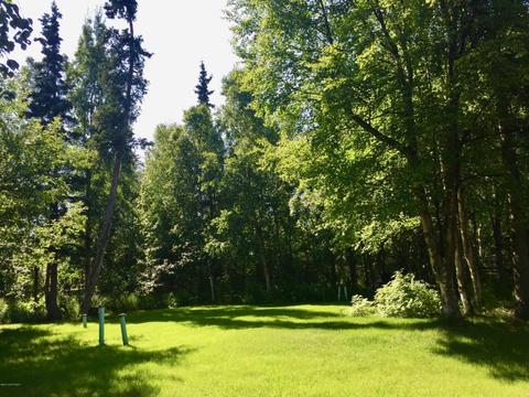 6270 W Tree Dr, Anchorage, AK 99507 photo 13