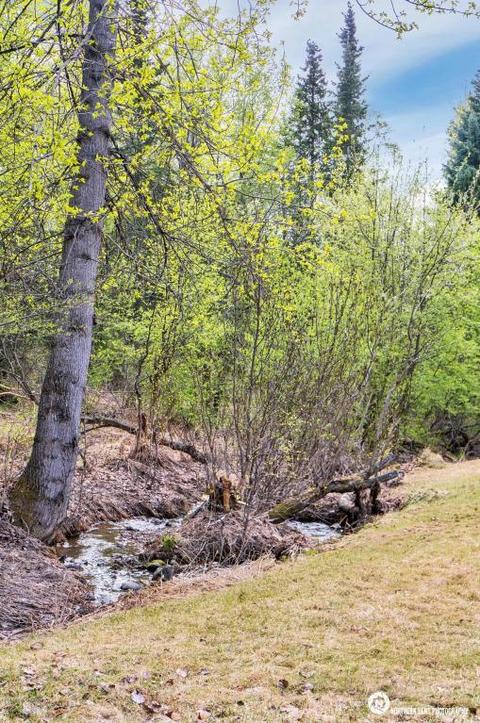 4920 E 104th Ave, Anchorage, AK 99507 photo 58