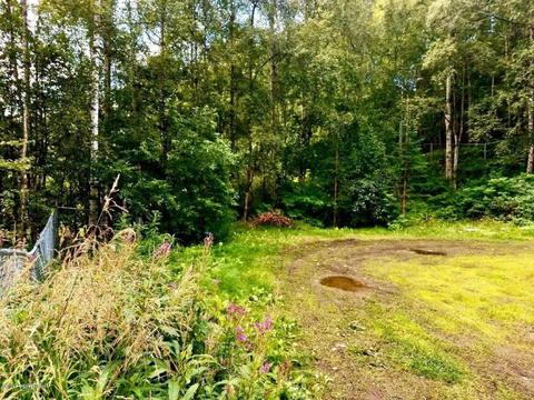 12516 Hope Cir, Eagle River, AK 99577 photo 13