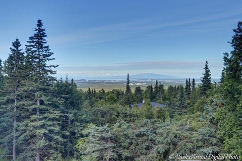 9350 Basher Dr, Anchorage, AK 99507 photo 10