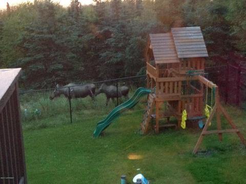 9350 Basher Dr, Anchorage, AK 99507 photo 52