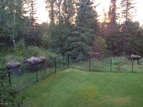 9350 Basher Dr, Anchorage, AK 99507 photo 53