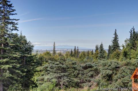 9350 Basher Dr, Anchorage, AK 99507 photo 50