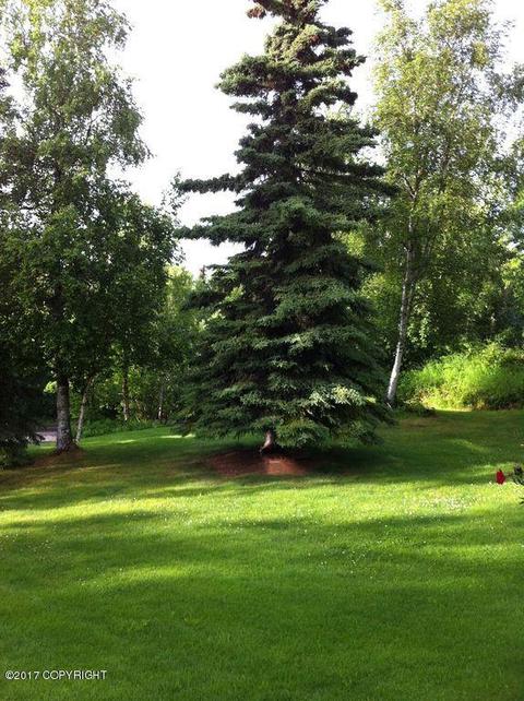 17710 Lacey Dr, Eagle River, AK 99577 photo 42