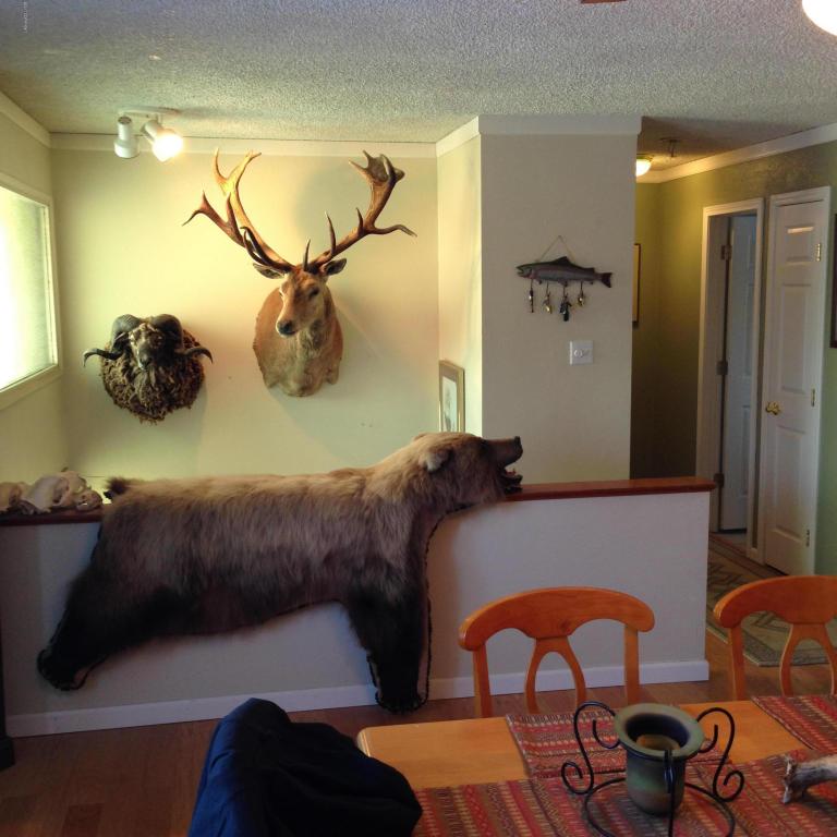 11333 Lower Sunny Cir, Eagle River, AK 99577 photo 11
