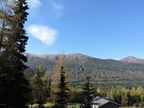 25935 Imperial Dr, Eagle River, AK 99577 photo 8
