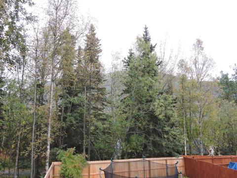 18628 S Kanaga Loop, Eagle River, AK 99577 photo 19