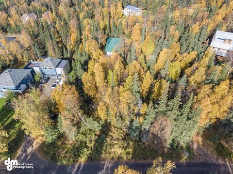 5635 Ridgeview Dr, Anchorage, AK 99516 photo 36