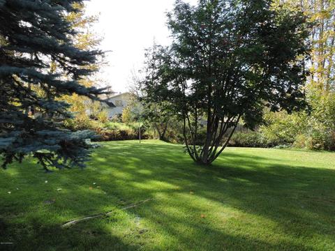 17536 Teklanika Dr, Eagle River, AK 99577 photo 6