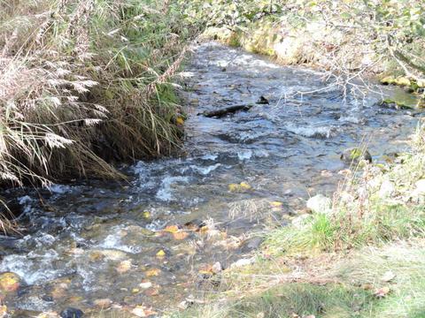 17536 Teklanika Dr, Eagle River, AK 99577 photo 9