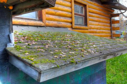 20011 S Birchwood Loop Rd, Chugiak, AK 99567 photo 57