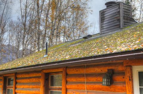 20011 S Birchwood Loop Rd, Chugiak, AK 99567 photo 55